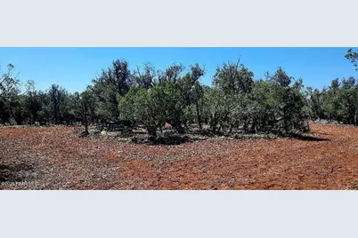 Xxxx S Desperado Trail, Williams, AZ 86046 - Photo 5