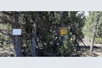 Xxxx S Desperado Trail, Williams, AZ 86046 - Photo 21