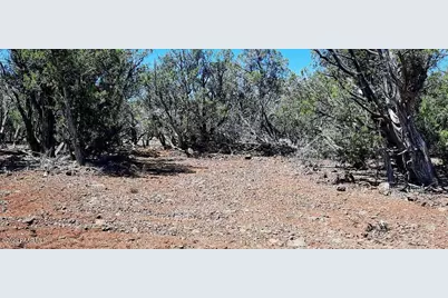Xxxx S Desperado Trail, Williams, AZ 86046 - Photo 13