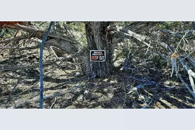 Xxxx S Desperado Trail, Williams, AZ 86046 - Photo 3