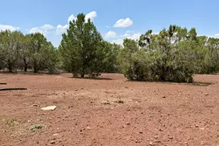 17169 Beale Wagon Rd, Seligman, AZ 86337 - Photo 49