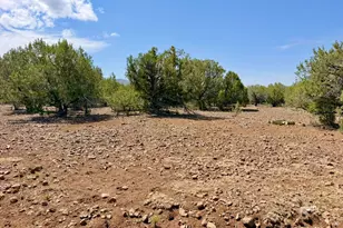 17169 Beale Wagon Rd, Seligman, AZ 86337 - Photo 51
