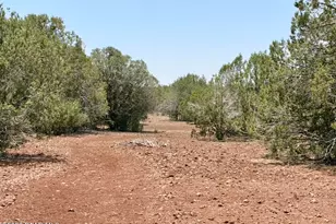 17169 Beale Wagon Rd, Seligman, AZ 86337 - Photo 47