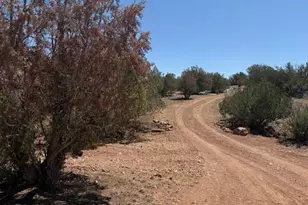 56385 N Bridge Canyon Pkwy, Seligman, AZ 86337 - Photo 1