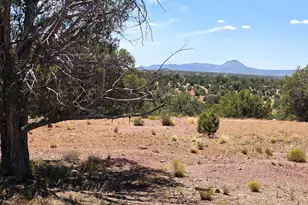 3200 W Poppy Rd, Ash Fork, AZ 86320 - Photo 1