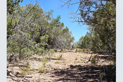 3200 W Poppy Road, Ash Fork, AZ 86320 - Photo 13