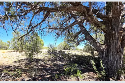 3200 W Poppy Road, Ash Fork, AZ 86320 - Photo 17