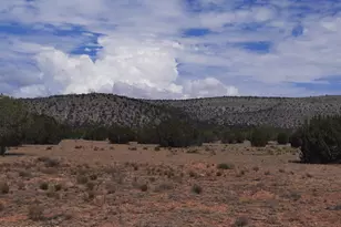 28964 W Fort Rock Rd, Seligman, AZ 86337 - Photo 1