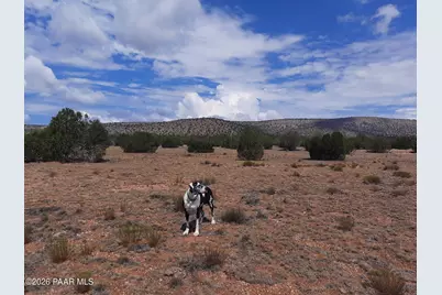 28964 W Fort Rock Road, Seligman, AZ 86337 - Photo 9