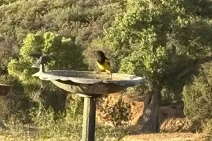 [Address not provided], Dewey-Humboldt, AZ 86327 - Photo 9