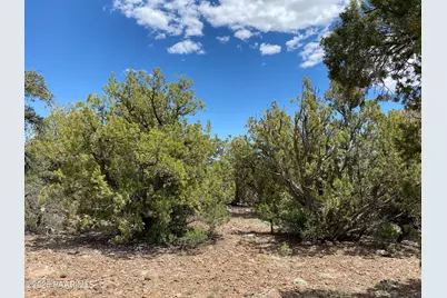 00 Shiloh Road, Seligman, AZ 86337 - Photo 9