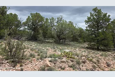 0 N Halcon Lane, Seligman, AZ 86337 - Photo 11