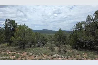 0 N Halcon Lane, Seligman, AZ 86337 - Photo 13