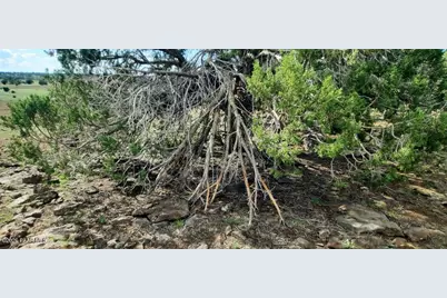 Xxxx N Stone Lake Blvd, Williams, AZ 86046 - Photo 13