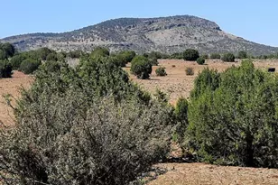 Xxxx E Martinez Rd, Williams, AZ 86046 - Photo 1