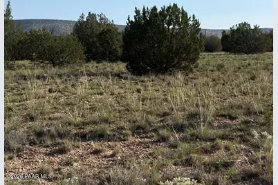 25840 W Granada Road, Seligman, AZ 86337 - Photo 7