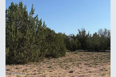 25840 W Granada Road, Seligman, AZ 86337 - Photo 5