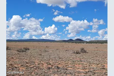 53316 N Saddlerock Drive, Seligman, AZ 86337 - Photo 3