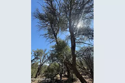 32506 W Shadow Mountain Circle, Seligman, AZ 86337 - Photo 5