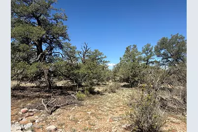 32506 W Shadow Mountain Circle, Seligman, AZ 86337 - Photo 3