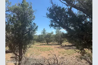 32506 W Shadow Mountain Circle, Seligman, AZ 86337 - Photo 11