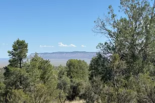32506 W Shadow Mountain Circle, Seligman, AZ 86337 - Photo 1