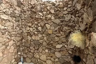 54310 N Paintbrush Ln, Seligman, AZ 86337 - Photo 27