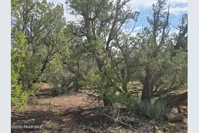 259 S Cathedral Valley Road, Ash Fork, AZ 86320 - Photo 11