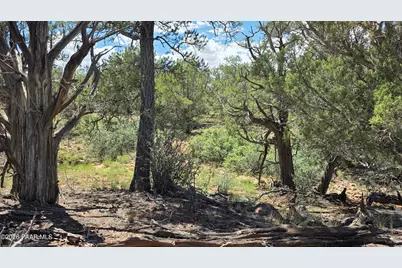 Lot 51 Off Rising Rock Road, Ash Fork, AZ 86320 - Photo 33