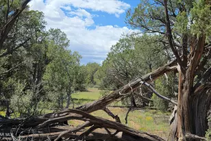 Lot 51 Off Rising Rock Rd, Ash Fork, AZ 86320 - Photo 1