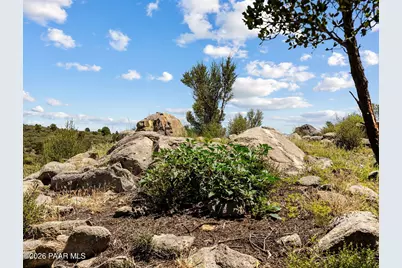 00000 W Buckhorn Drive, Peeples Valley, AZ 86332 - Photo 9