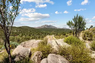 00000 W Buckhorn Dr, Peeples Valley, AZ 86332 - Photo 1