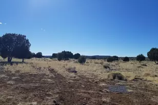 8368 Cortez Ranch Rd, Seligman, AZ 86337 - Photo 17