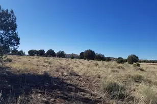 8368 Cortez Ranch Rd, Seligman, AZ 86337 - Photo 21