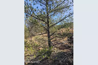 54892 N Potrero Lane, Seligman, AZ 86337 - Photo 19