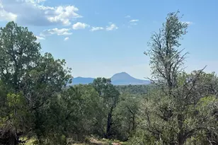 276 Off Of Cathedral Valley Rd, Ash Fork, AZ 86320 - Photo 1