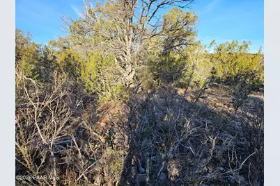32397 W Camino Oso, Seligman, AZ 86337 - Photo 7