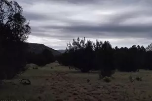 43900 N Anvil Rock Rd, Seligman, AZ 86337 - Photo 47