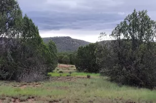 43900 N Anvil Rock Rd, Seligman, AZ 86337 - Photo 49