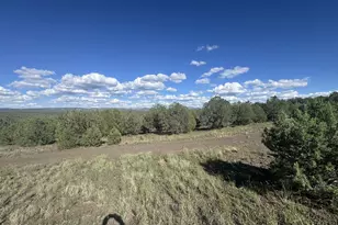 4529 W Eagle Wings Dr, Williams, AZ 86046 - Photo 1
