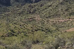 39801 S Bitter Creek Ln, Morristown, AZ 85342 - Photo 3