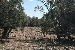 00 NW Nine Shooter Rd, Williams, AZ 86046 - Photo 1