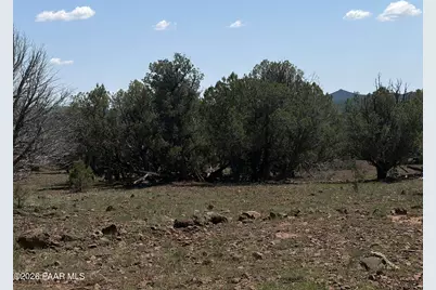 00 NW Nine Shooter Road, Williams, AZ 86046 - Photo 9