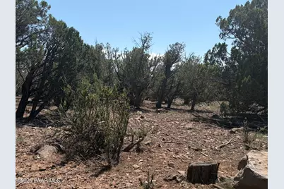 00 NW Nine Shooter Road, Williams, AZ 86046 - Photo 3