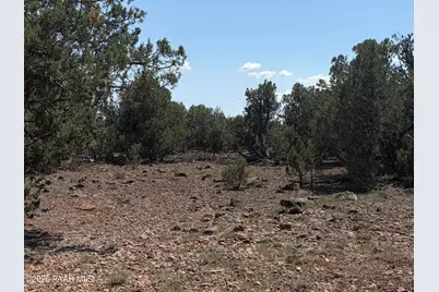 00 NE Nine Shooter Road, Williams, AZ 86046 - Photo 1