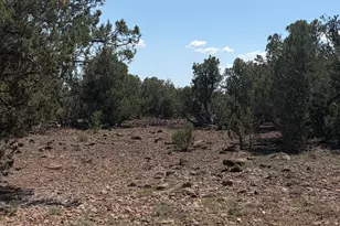 00 NE Nine Shooter Rd, Williams, AZ 86046 - Photo 1