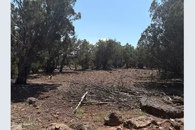 00 NE Nine Shooter Road, Williams, AZ 86046 - Photo 3