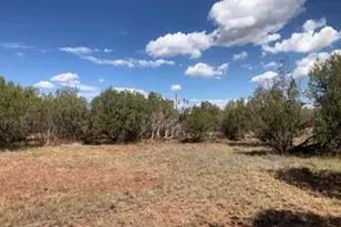 2365 N Luana Dr, Williams, AZ 86046 - Photo 13