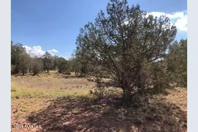2365 N Luana Drive, Williams, AZ 86046 - Photo 15