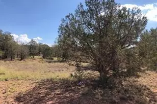 2365 N Luana Dr, Williams, AZ 86046 - Photo 15